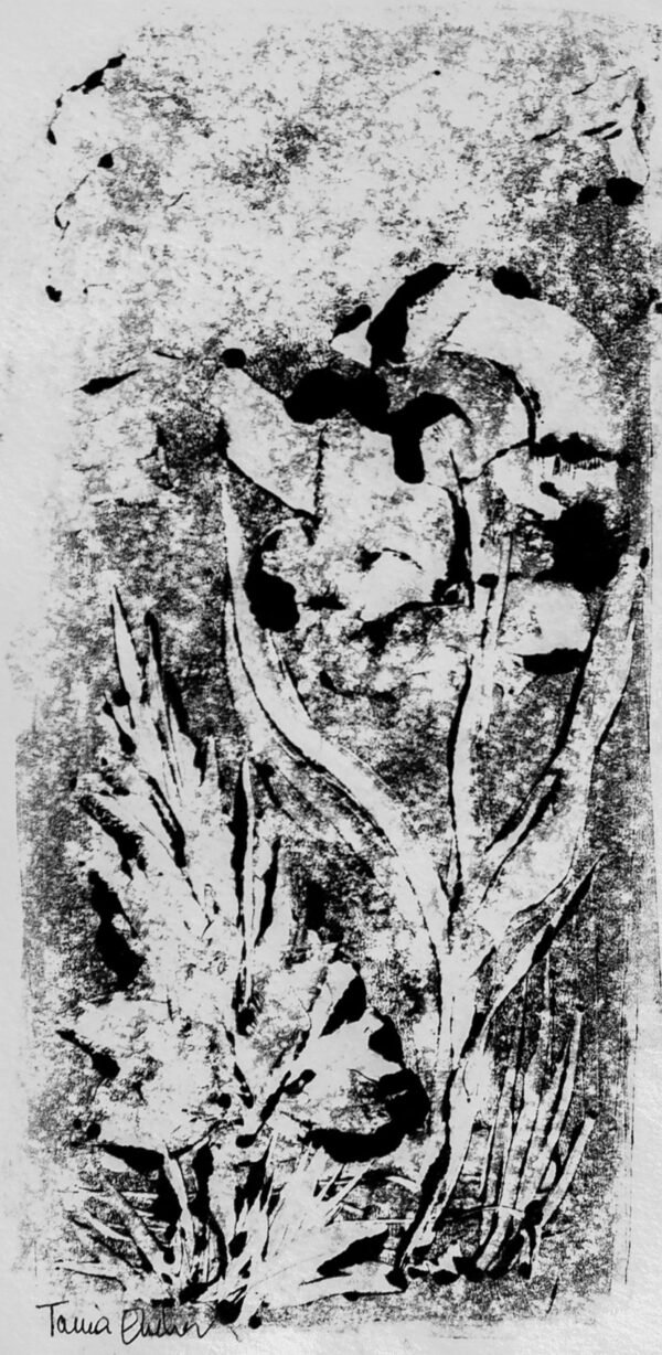 1222-Submergée-2 Monotype - algues marines