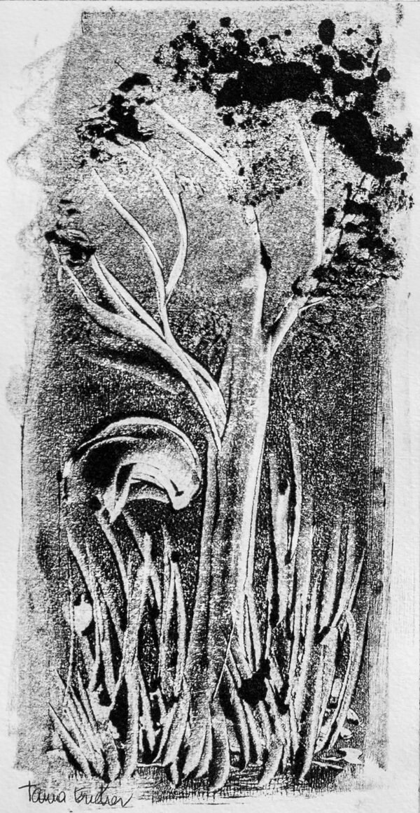 1223-Submergée-3 Algues Marines - Paysage sous marin - Monotype en Noir et Blanc.