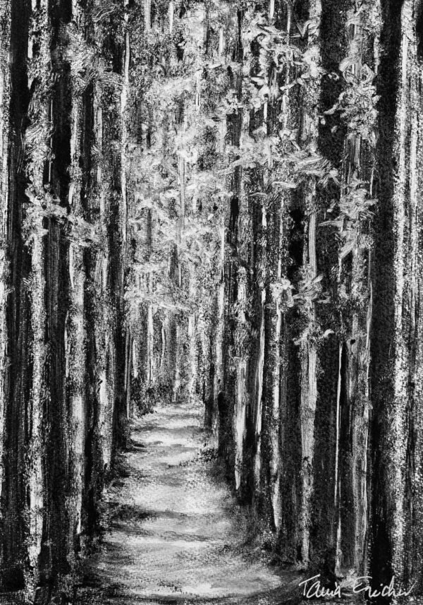 Foret de bambous - Monotype, en noir et blanc, réalisé à la manière noire