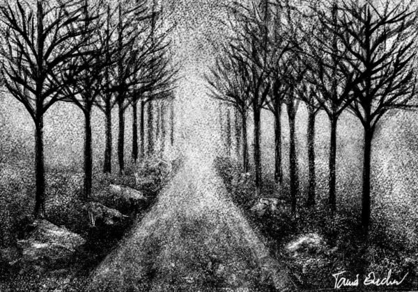 Route de campagne, bordée d'arbres, baignée par la brume matinale - Monotype, en noir et blanc, réalisé à la manière noire