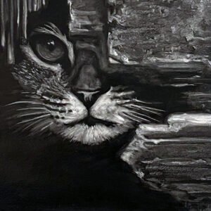 Portrait d'un Chat noir et blanc, à l'affut caché dans un recoin, sous un pan de mur délabré - Peinture à l'huile en noir et blanc réalisé à la manière noire