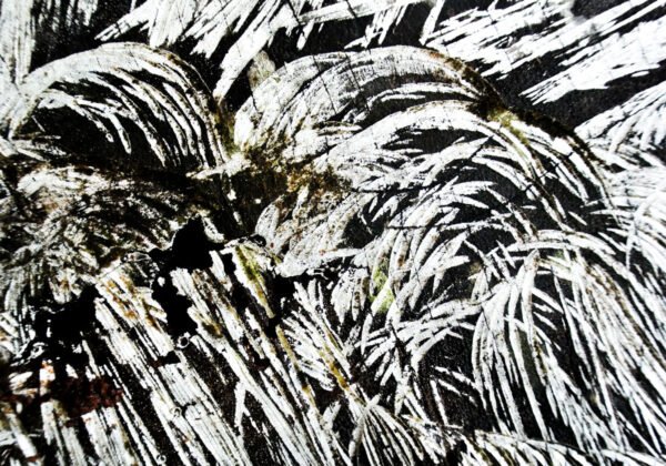 Lateiki - L’esthétique de l’usure. Fragment, trace urbaine, mur effrité témoignent du passage du temps tout en révélant la beauté des choses imparfaites