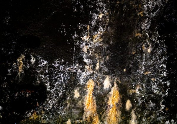 Miang - L’esthétique de l’usure. Fragment, trace urbaine, mur effrité témoignent du passage du temps tout en révélant la beauté des choses imparfaites