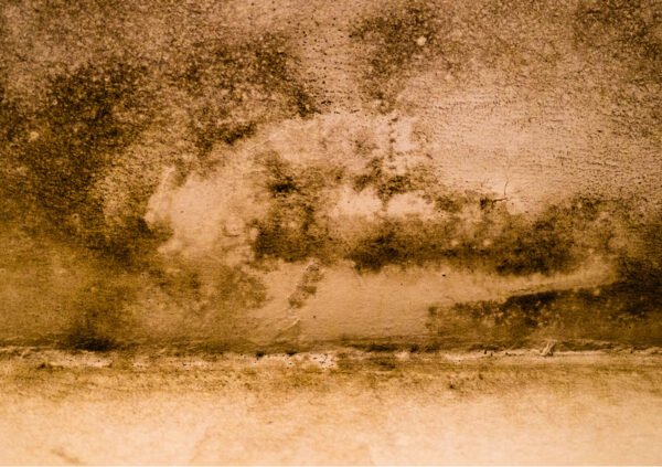 Vezand - L’esthétique de l’usure. Fragment, trace urbaine, mur effrité témoignent du passage du temps tout en révélant la beauté des choses imparfaites